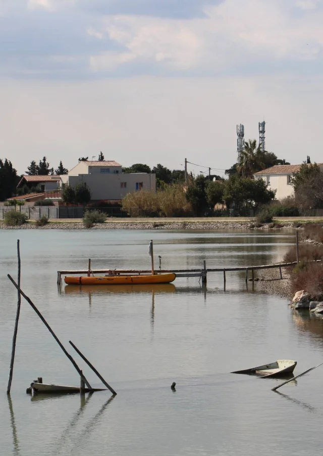 Etang Perols2
