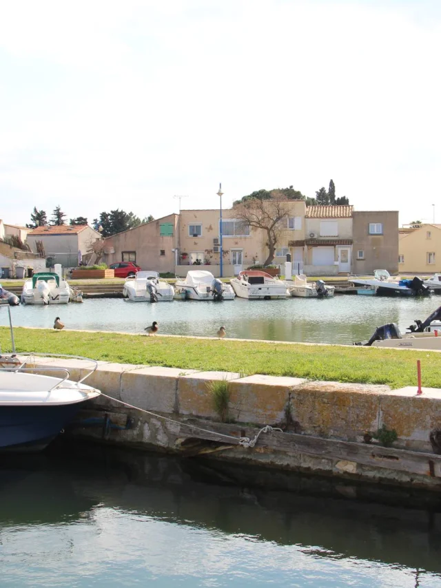 Port De Plaisance Perols2