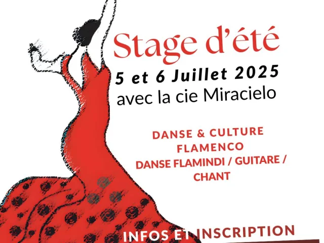 Affiche Verano Flamenco 2025 Publication Instagram