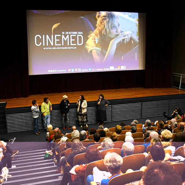 463990543 18424468864077083 7011371441519965545 N