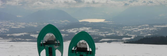 Schneeschuhwandern im Salève