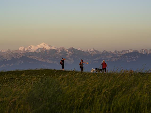 ot-monts-de-geneve-balade-saleve-alpcat-medias--34i6677-hd.jpg
