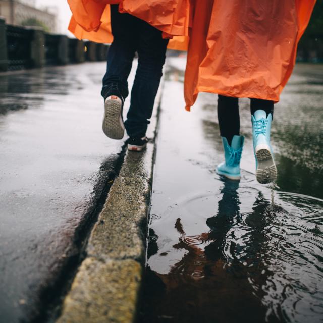 Sous la pluie
