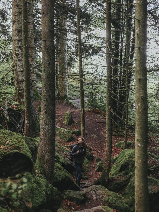 Une nature préservée