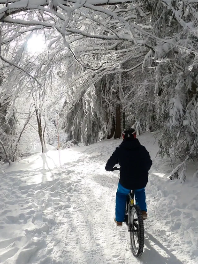 Vttae ©bureau De La Montagne Du Salève