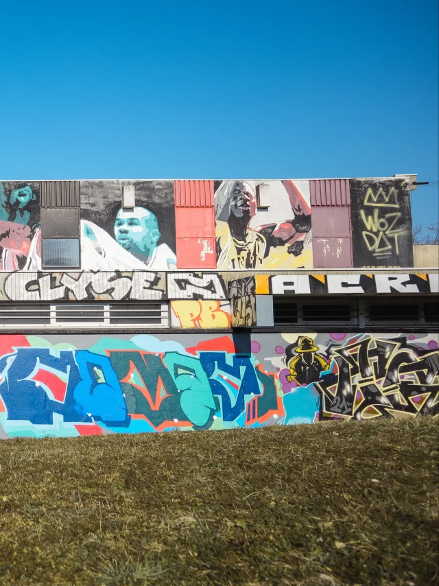 Fresque Gymnase du Léman @Wozdat, Rue du Salève