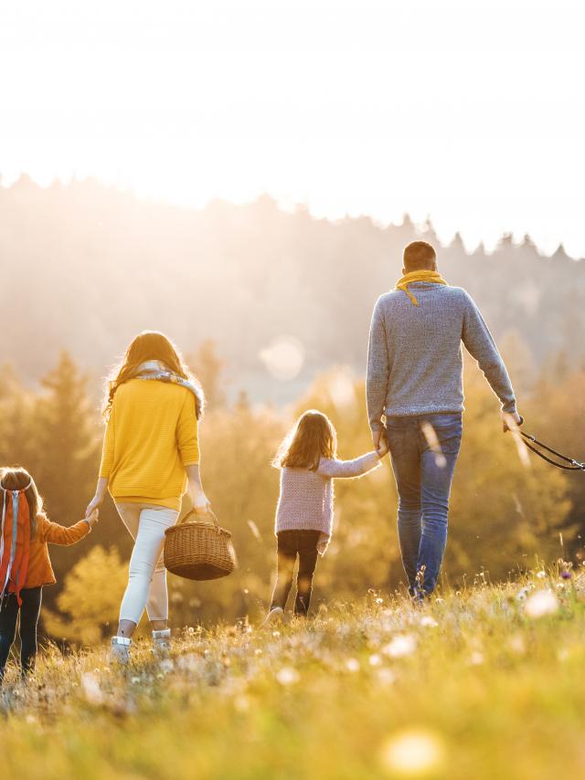 Vacances d'automne