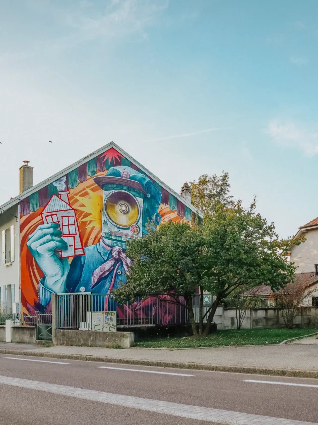 Fresque Rue du Beulet (l'artiste Cobalt Mural)
