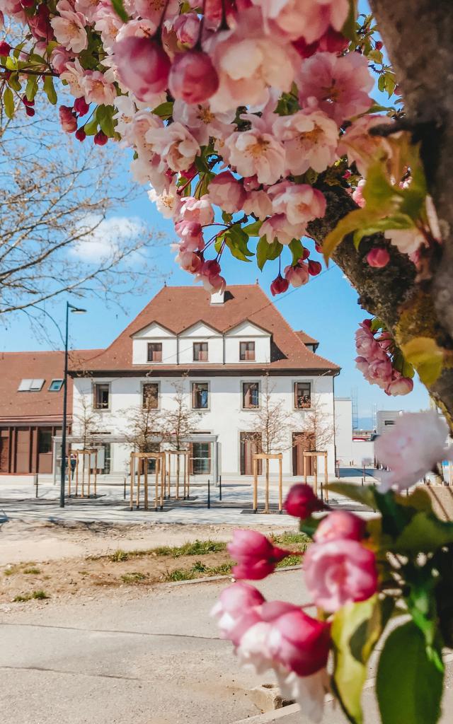 Maison De La Mobilite Et Du Tourisme A Annemasse Ot Monts De Geneve A.modylevskaia 1049