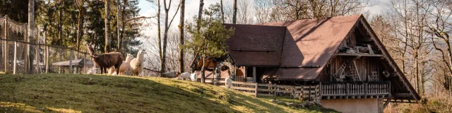 Le Grand Parc de Noël