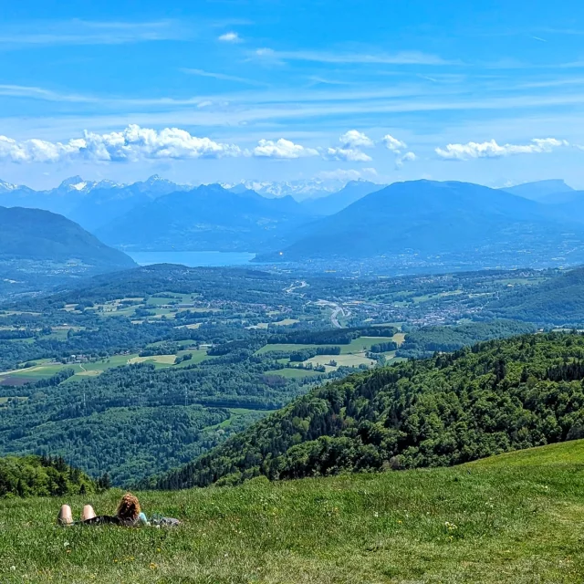 Instagram #saleve