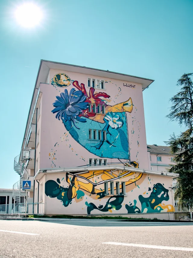 Street art - Saint-Julien-en-Genevois - Un bateau, une vie par Wozdat