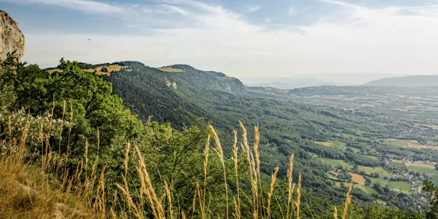 Vue sur le Genevois depuis le sentier de la Corraterie