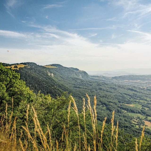 Vue sur le Genevois depuis le sentier de la Corraterie