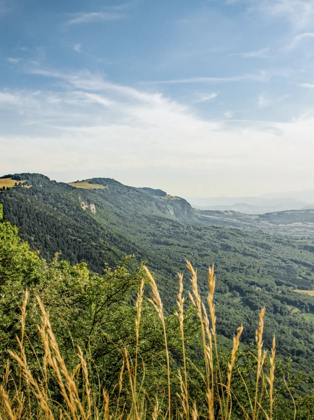 Vue sur le Genevois depuis le sentier de la Corraterie