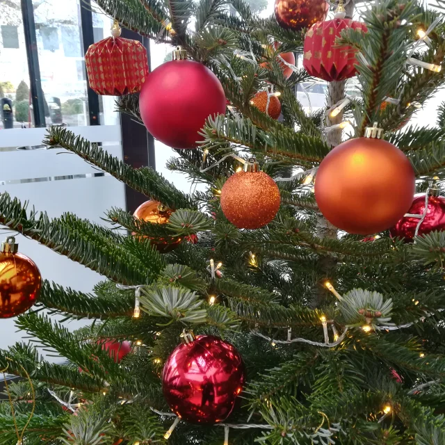 Sapin de noel NaturElement