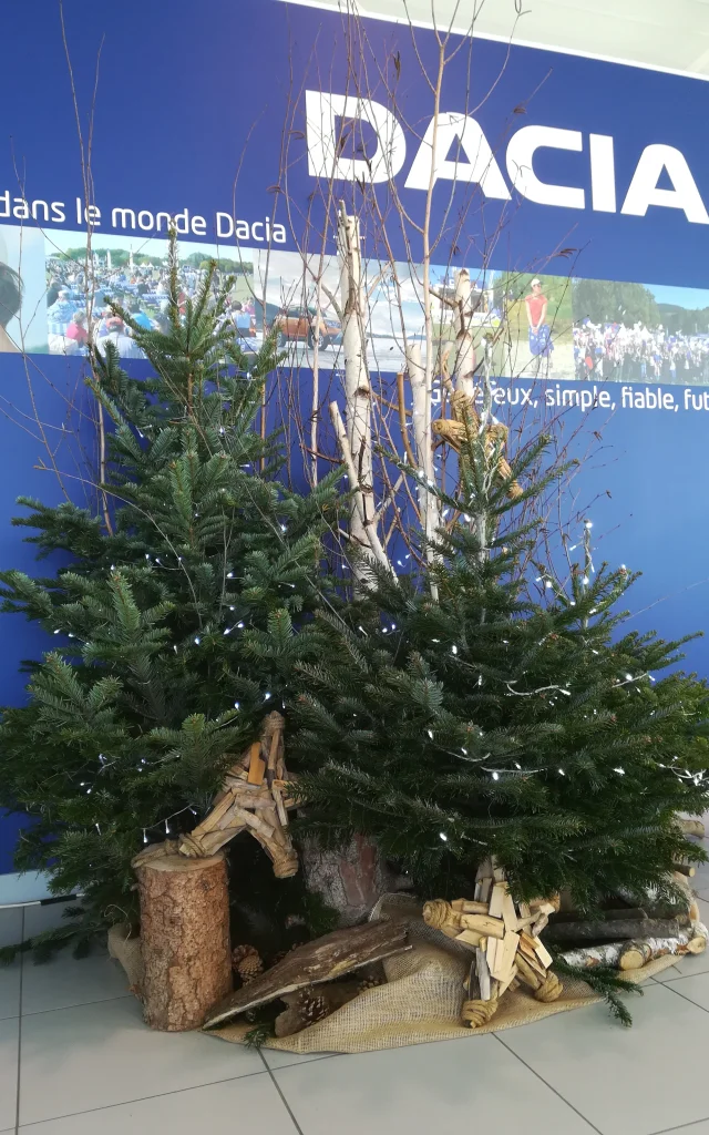 sapin de noel naturelement