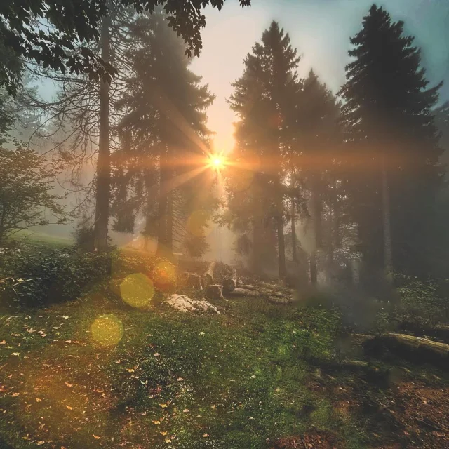 Instagram #saleve