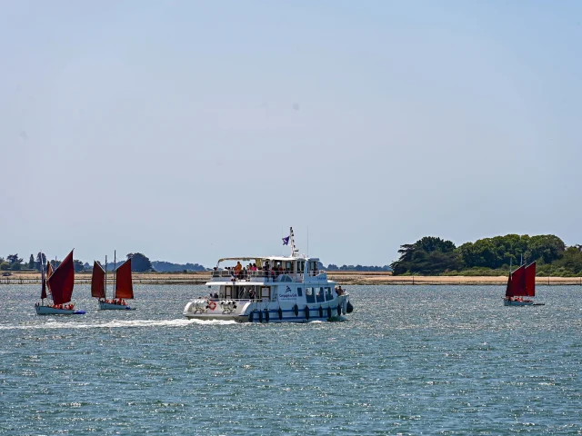 Croisière Golfe du Morbihan