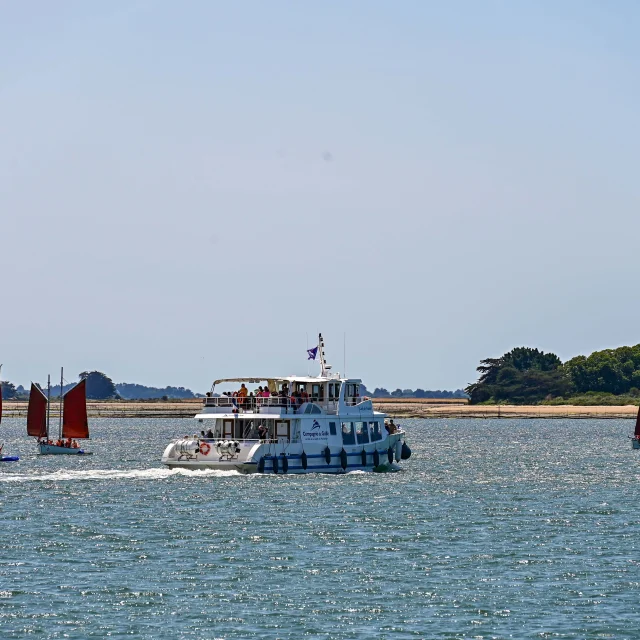 Croisière Golfe du Morbihan