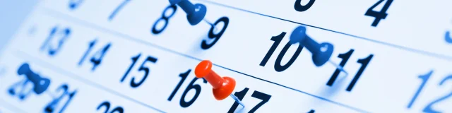Calendrier - pins