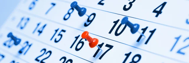 Calendrier - pins