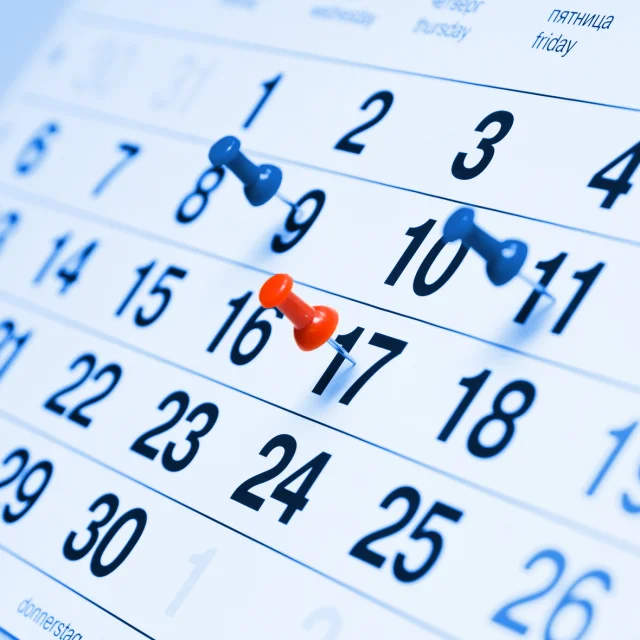 Calendrier - pins