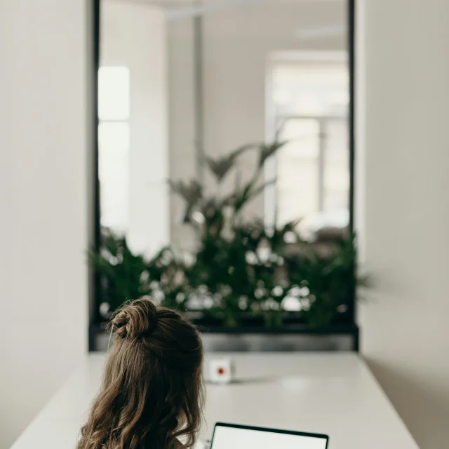Webinaire