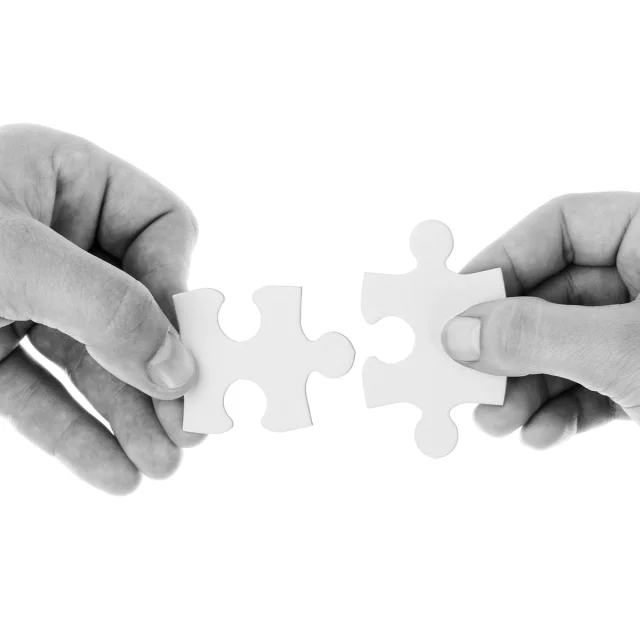 Mains et puzzle