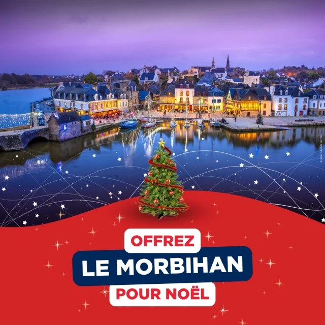 Campagne cartes cadeaux 2025