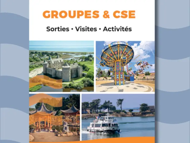 Groupes Et Cse