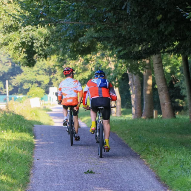 Cyclistes VTT