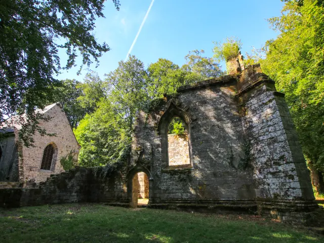 Notre Dame du Burgo, Forêt de Camors