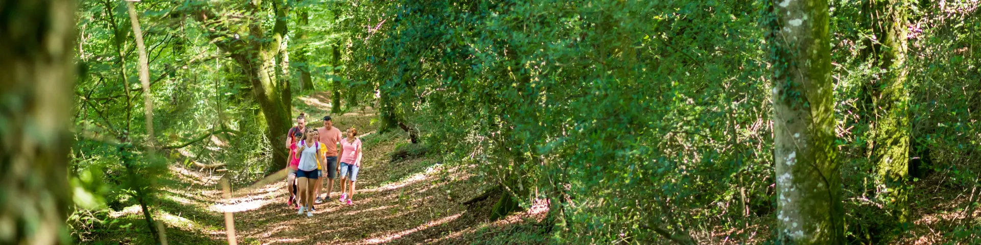 Randonnée en forêt