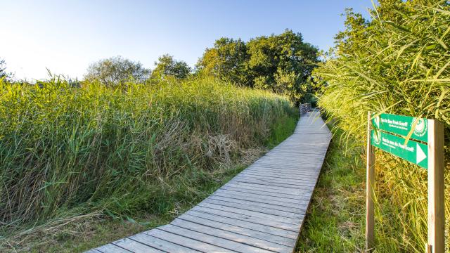 Pont-Scorff