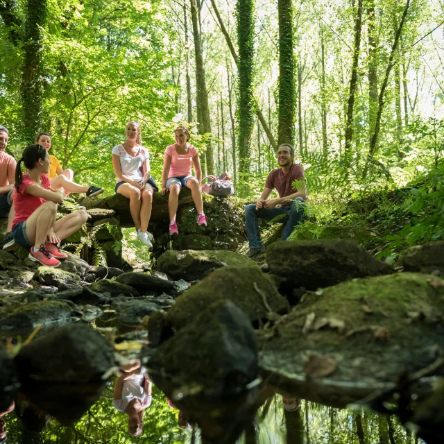 Randonnée en forêt