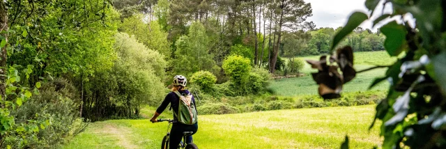 Landes de Lanvaux