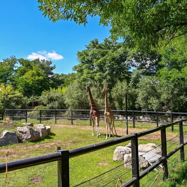 Terres de Natae Pont-Scorff