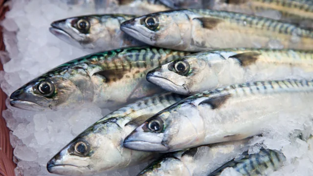 Poissons