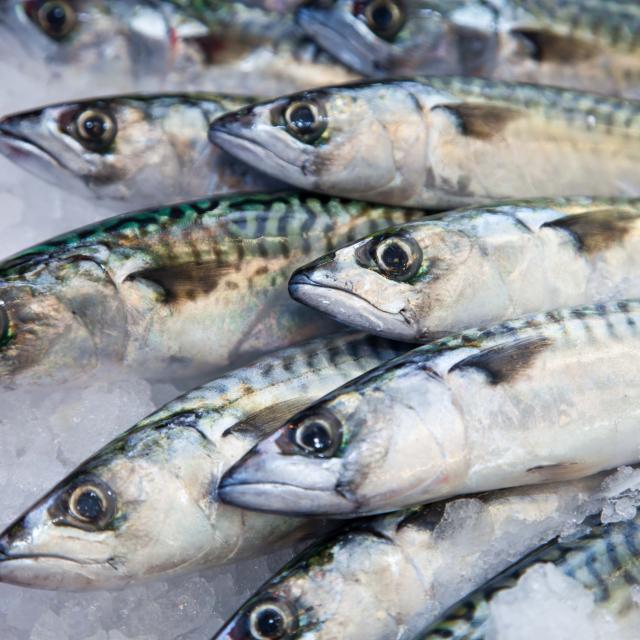 Sauce à la rhubarbe pour poisson