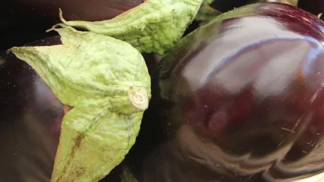 Aubergines