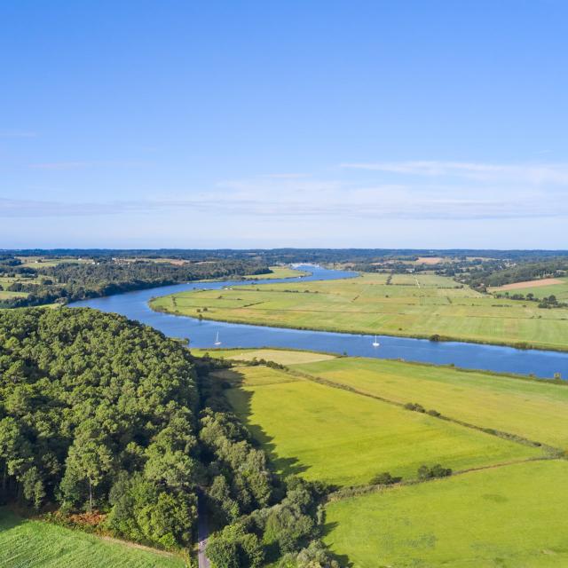 Les rives de La Vilaine