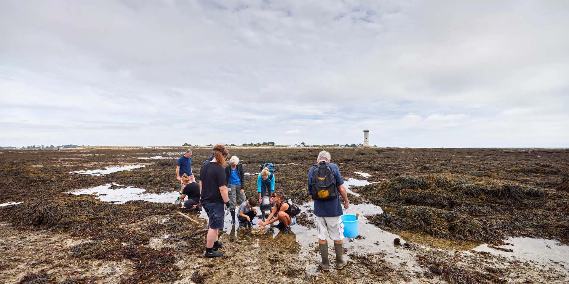 Pêche à pied, tour des Anglais