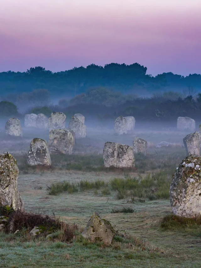 Alignements du Ménec à Carnac au petit matin.