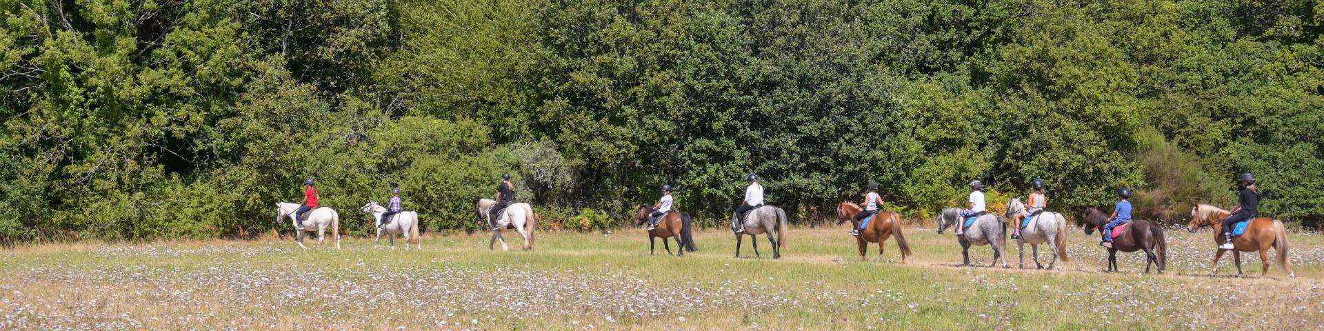 Balade Cheval Loic Kersuzan Morbihan Tourisme 2033 Baden 1