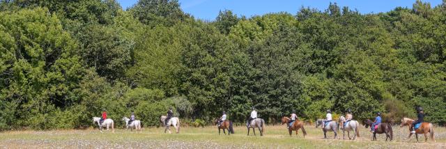 Balade Cheval Loic Kersuzan Morbihan Tourisme 2033 Baden 1