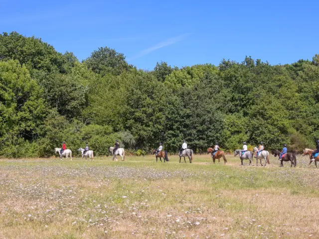 Balade Cheval Loic Kersuzan Morbihan Tourisme 2033 Baden 1