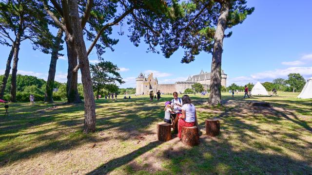 Domaine De Suscinio