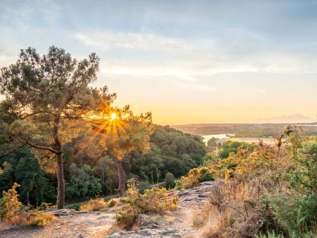 Ile Aux Pies en automne