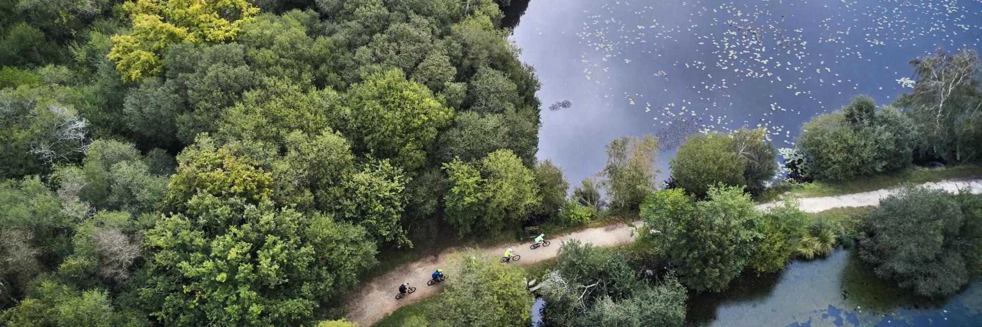 Vélos sur le sentier de randonnée de l'étang de la forêt à Brandivy, Landes de Lanvaux